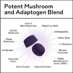 Gummies with a card highlighting Reishi, Lion's Mane, Chaga and Cordyceps