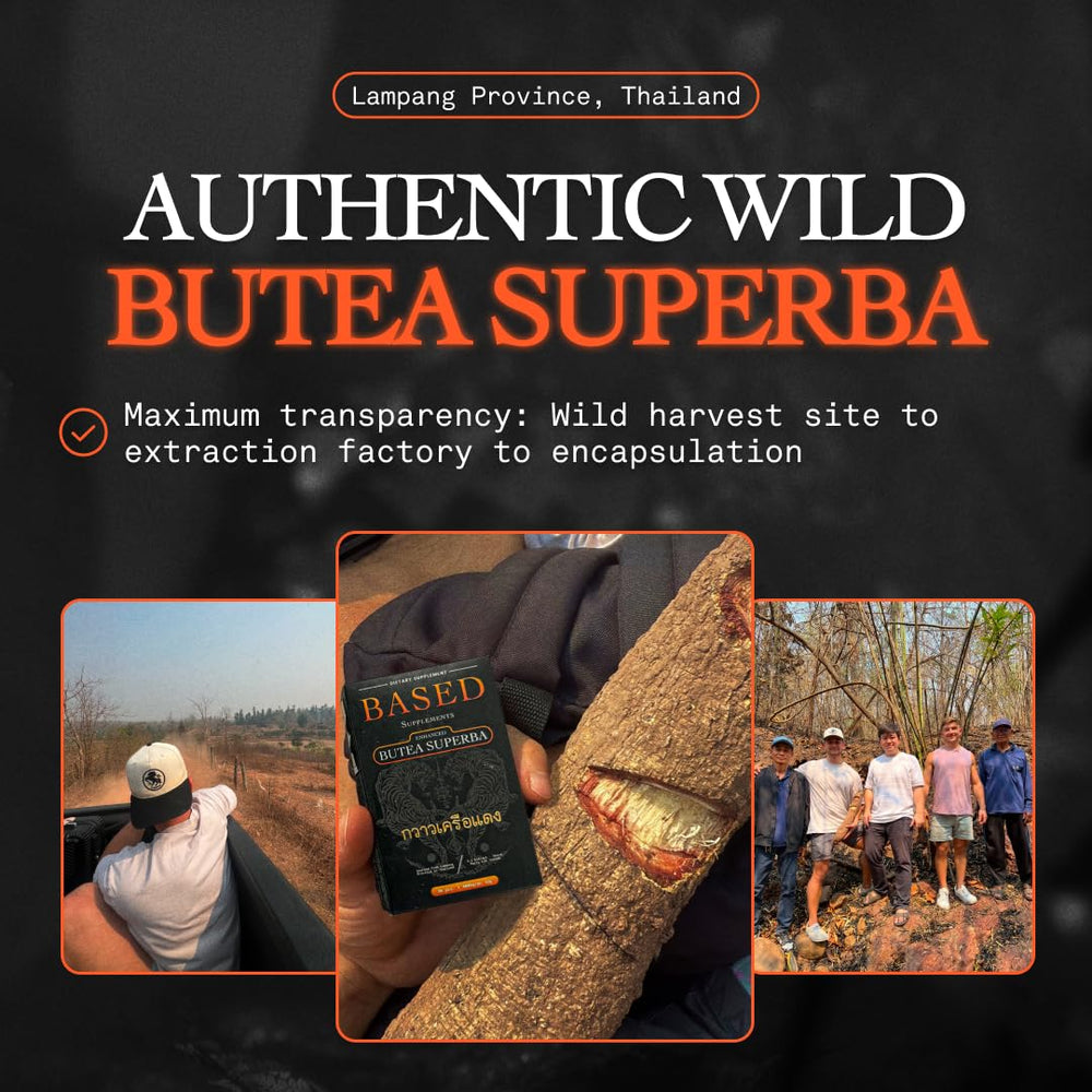 Based Supplements Butea Superba capsules demonstrate an easy-to-use formula for steady energy.