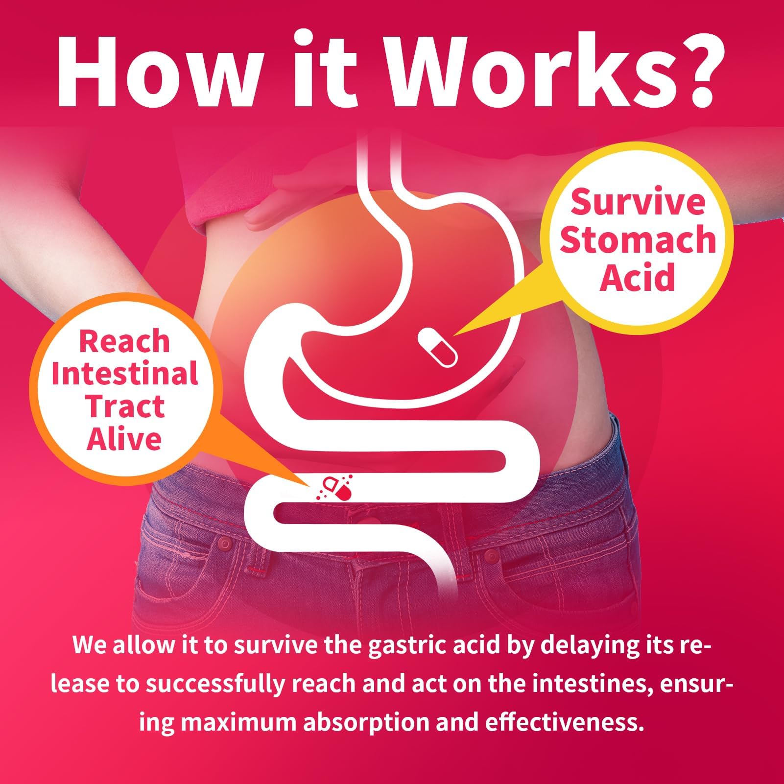 Woman's digestive health graphic featuring BBEEAAUU probiotics