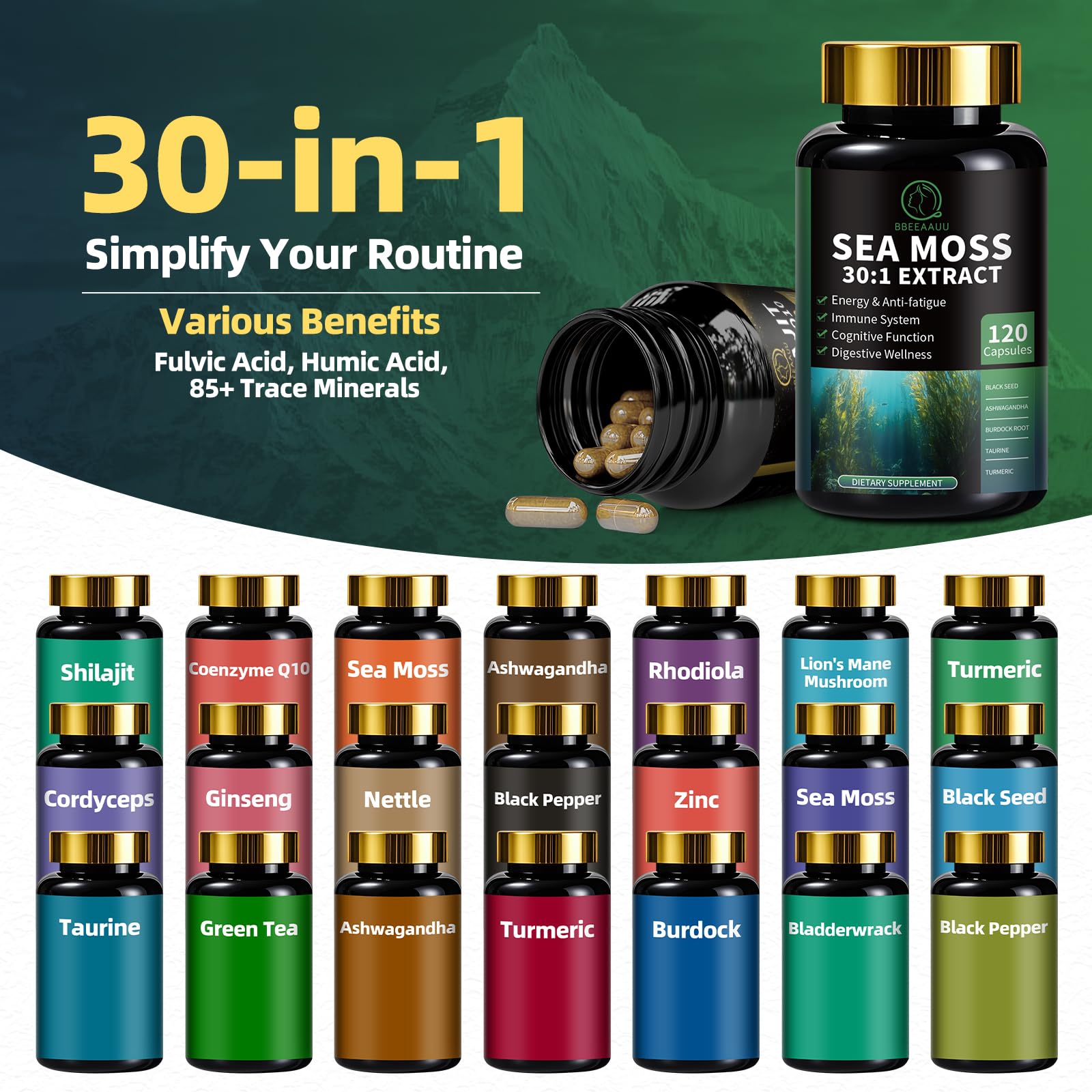 18-in-1 Sea Moss formula ingredients