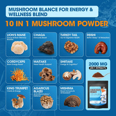 Mushroom coffee powder showing Ashwagandha and L-theanine ingredients