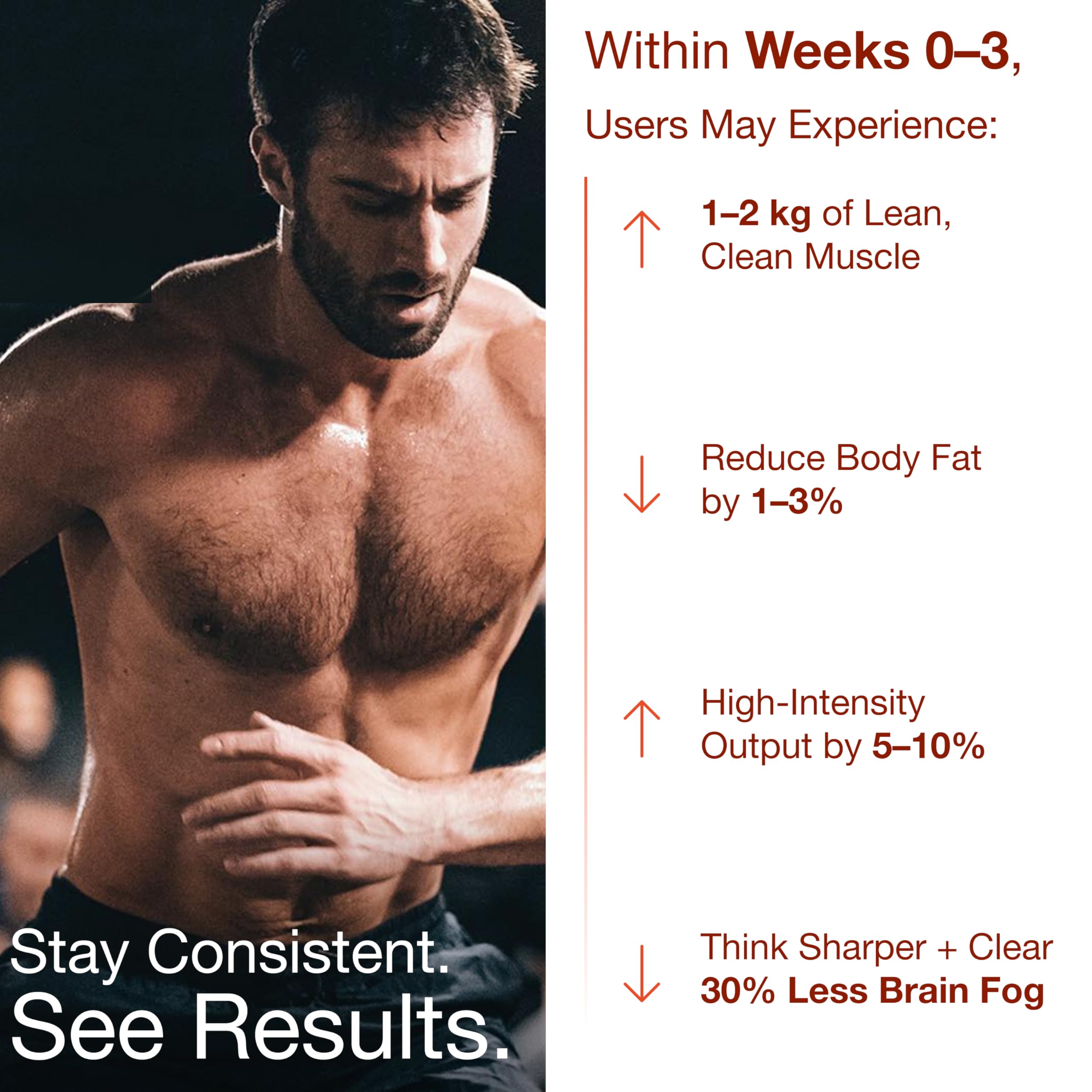 Graphic showing the 15 clean ingredients in Bear Balanced Creatine Gummies