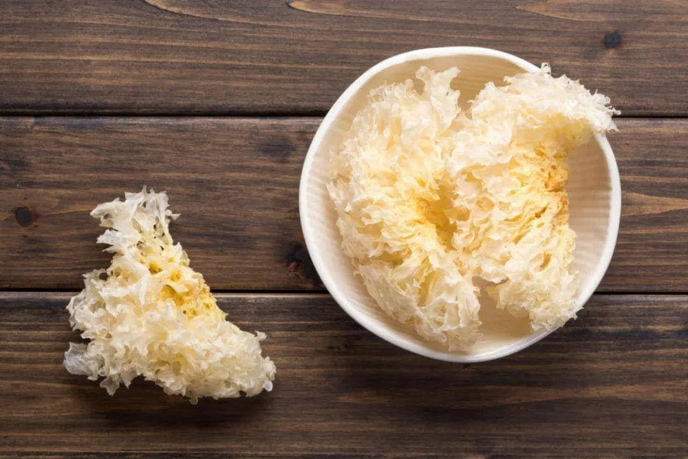 Dried Snow Fungus Tremella pieces close-up