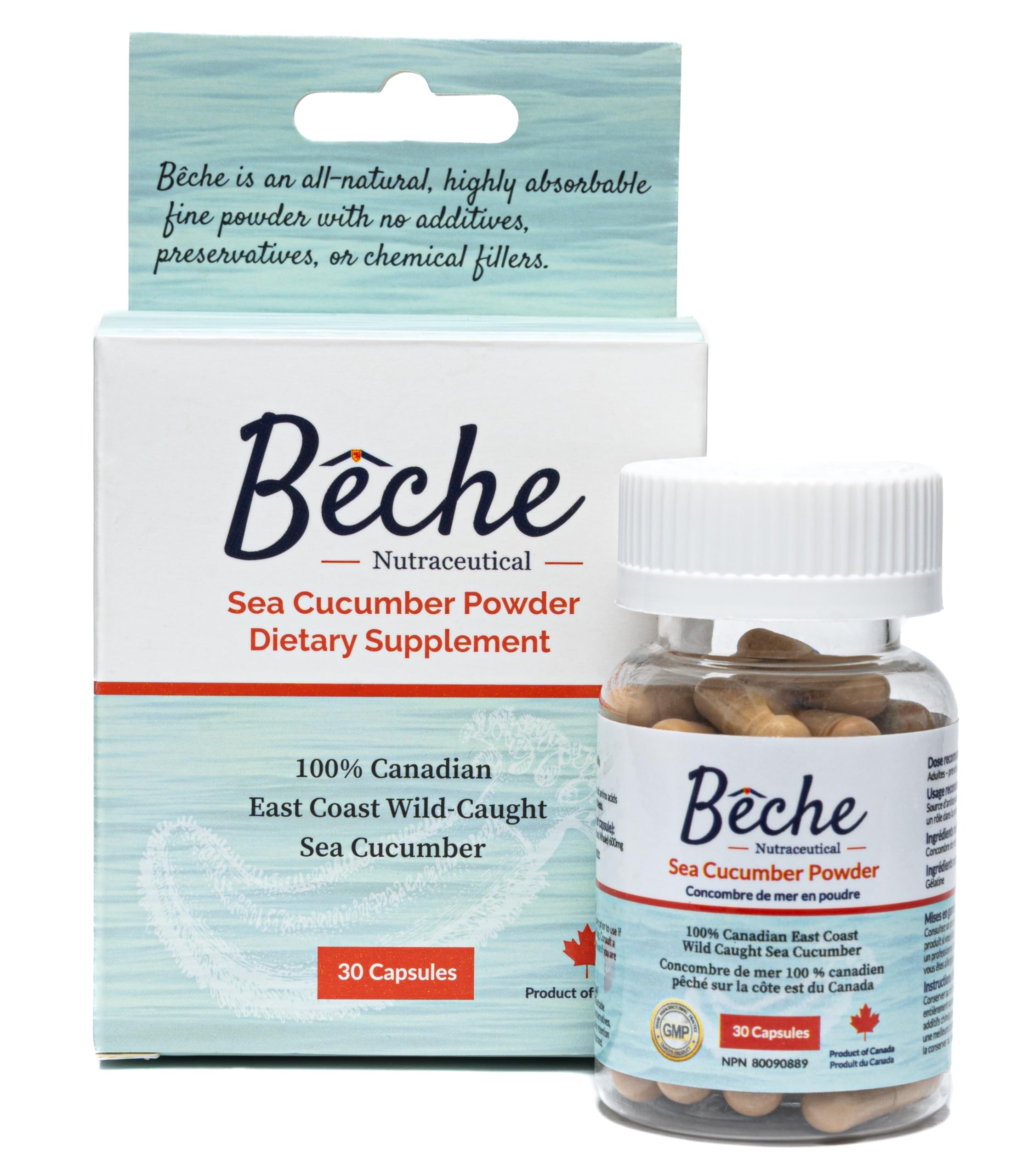 Bêche 100% Sea Cucumber Powder Capsule bottle front
