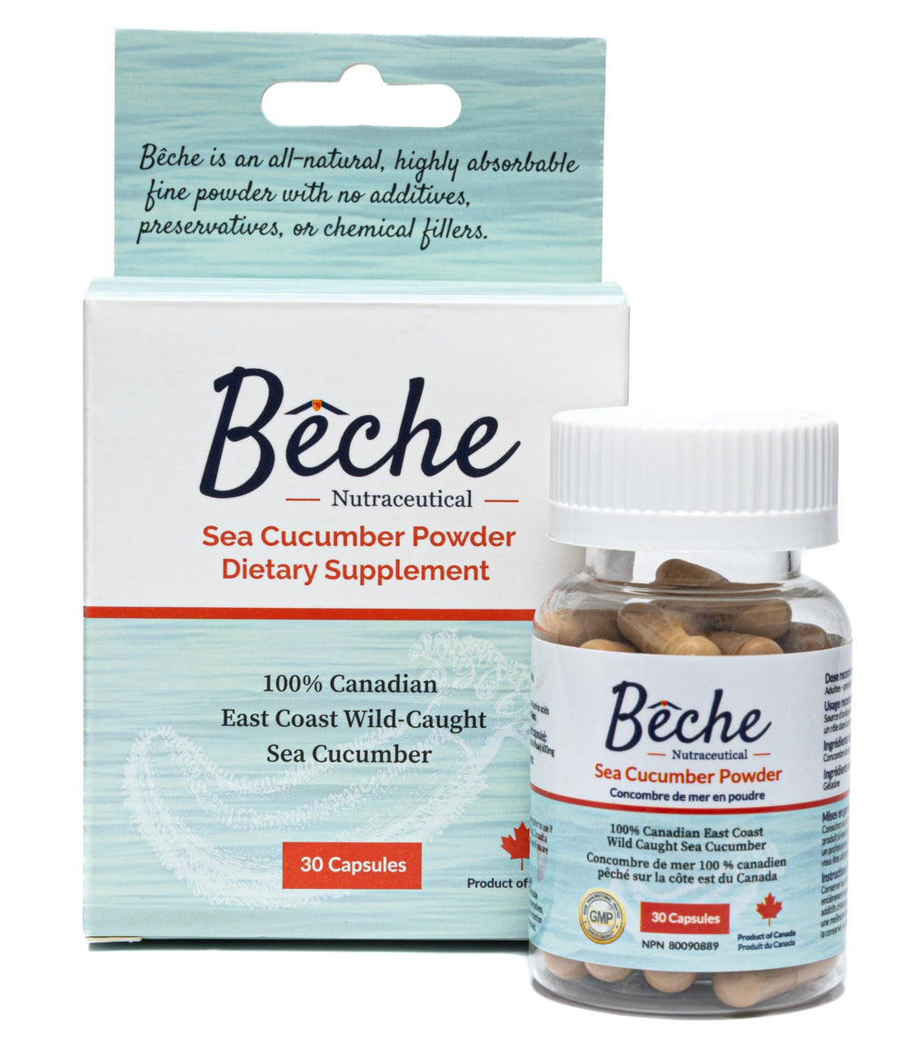 Bêche 100% Sea Cucumber Powder Capsule bottle front