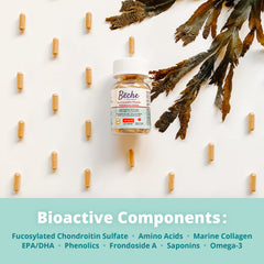 Ingredient label showing Cucumaria frondosa powder