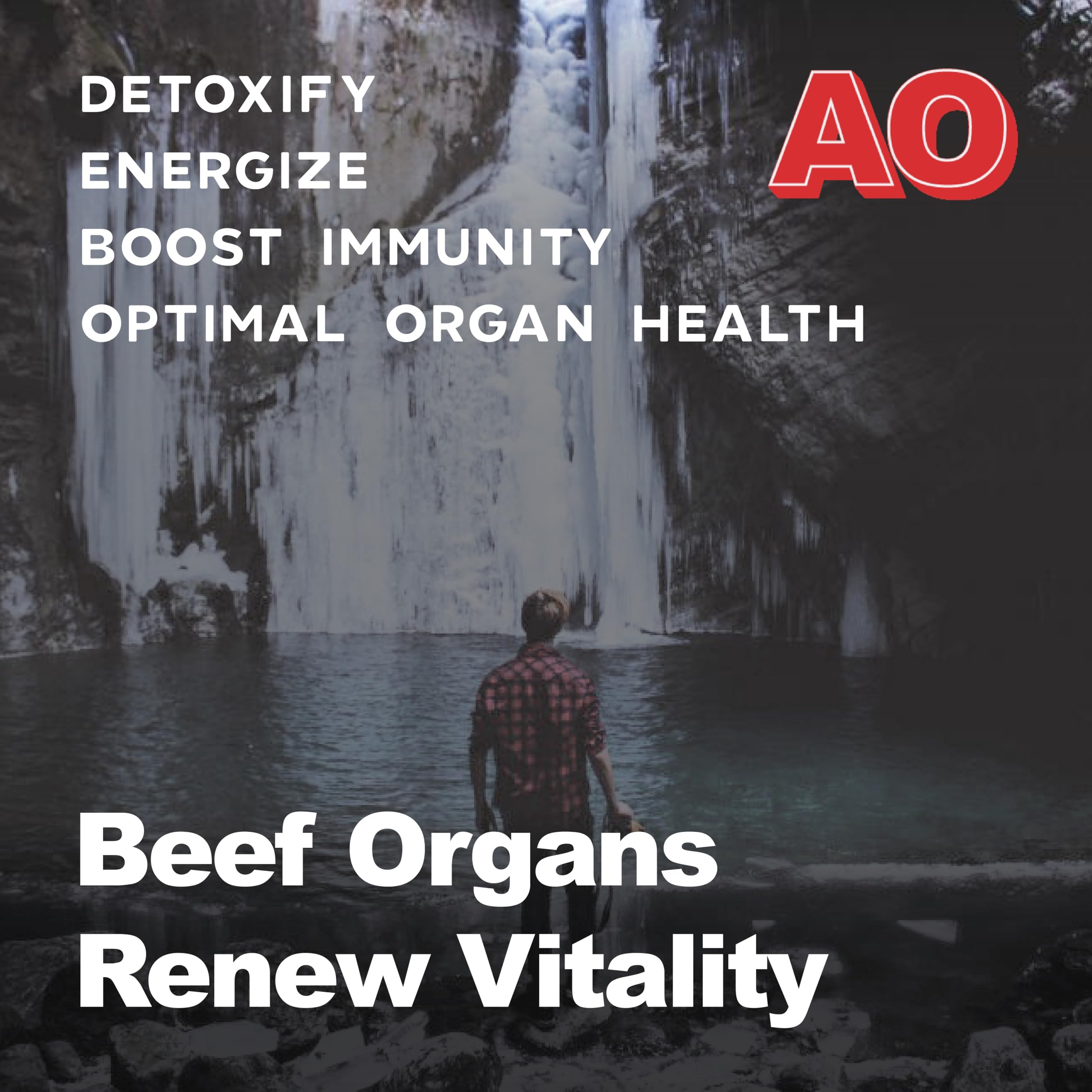 Beef heart organ capsule