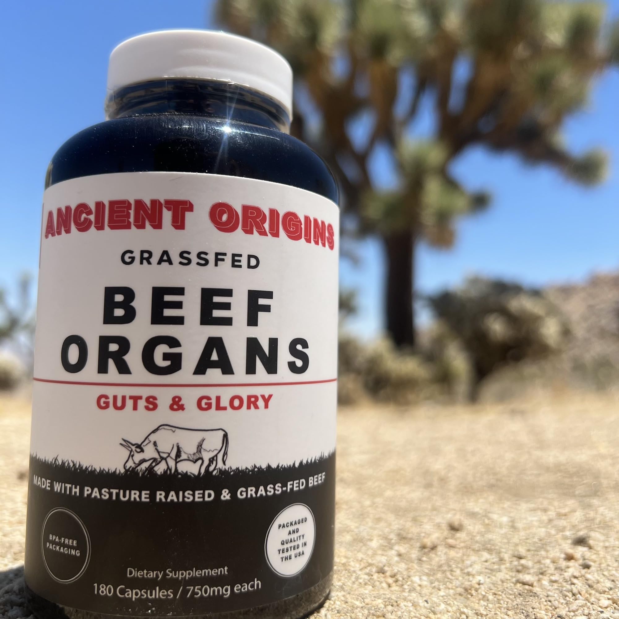 Beef kidney capsule