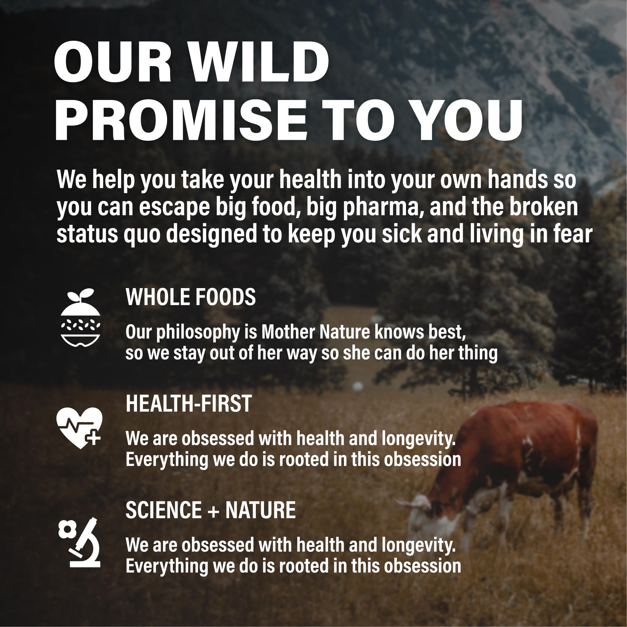 Concept image showing keto, paleo, carnivore friendly beef liver capsules