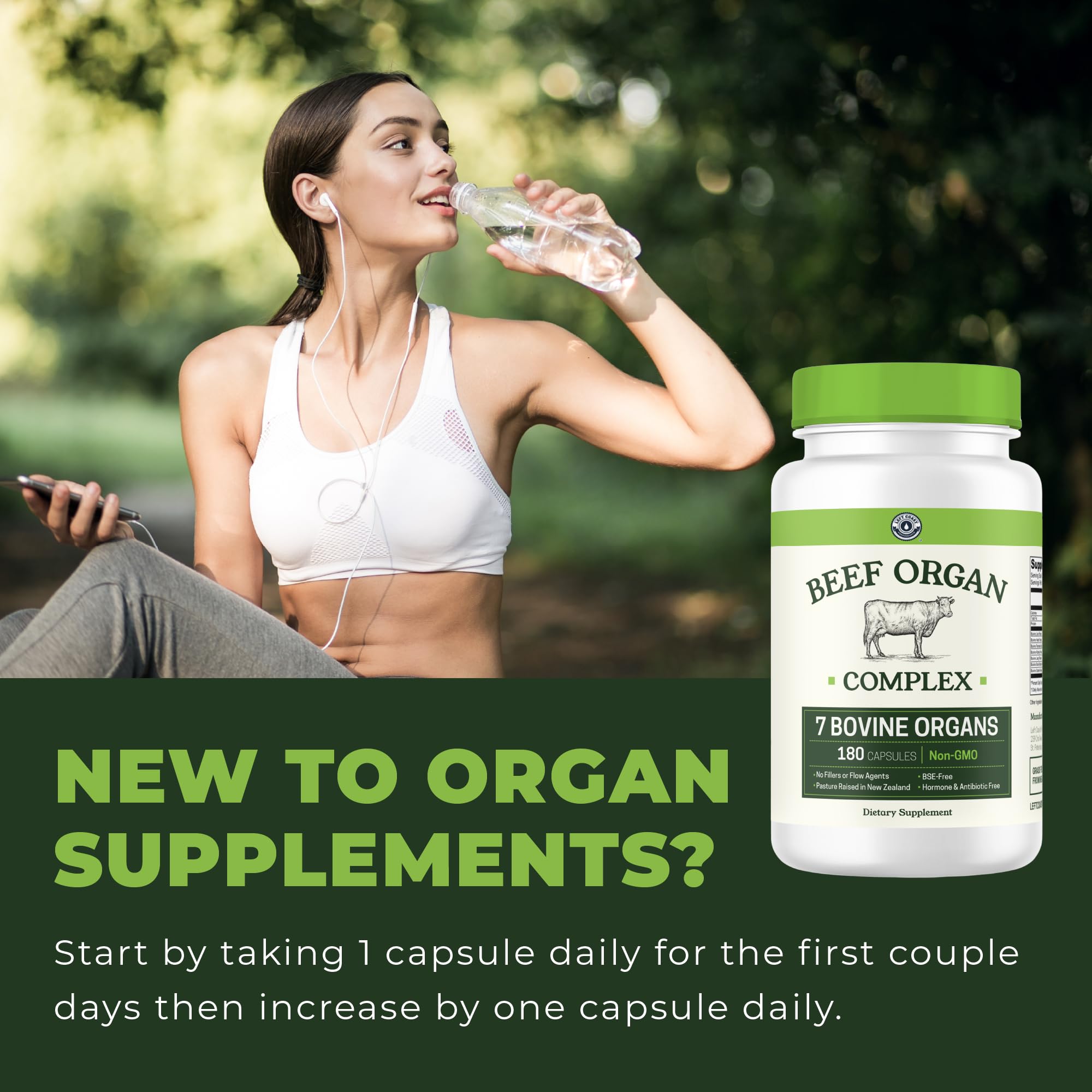 Beef kidney - featured organ in the mix