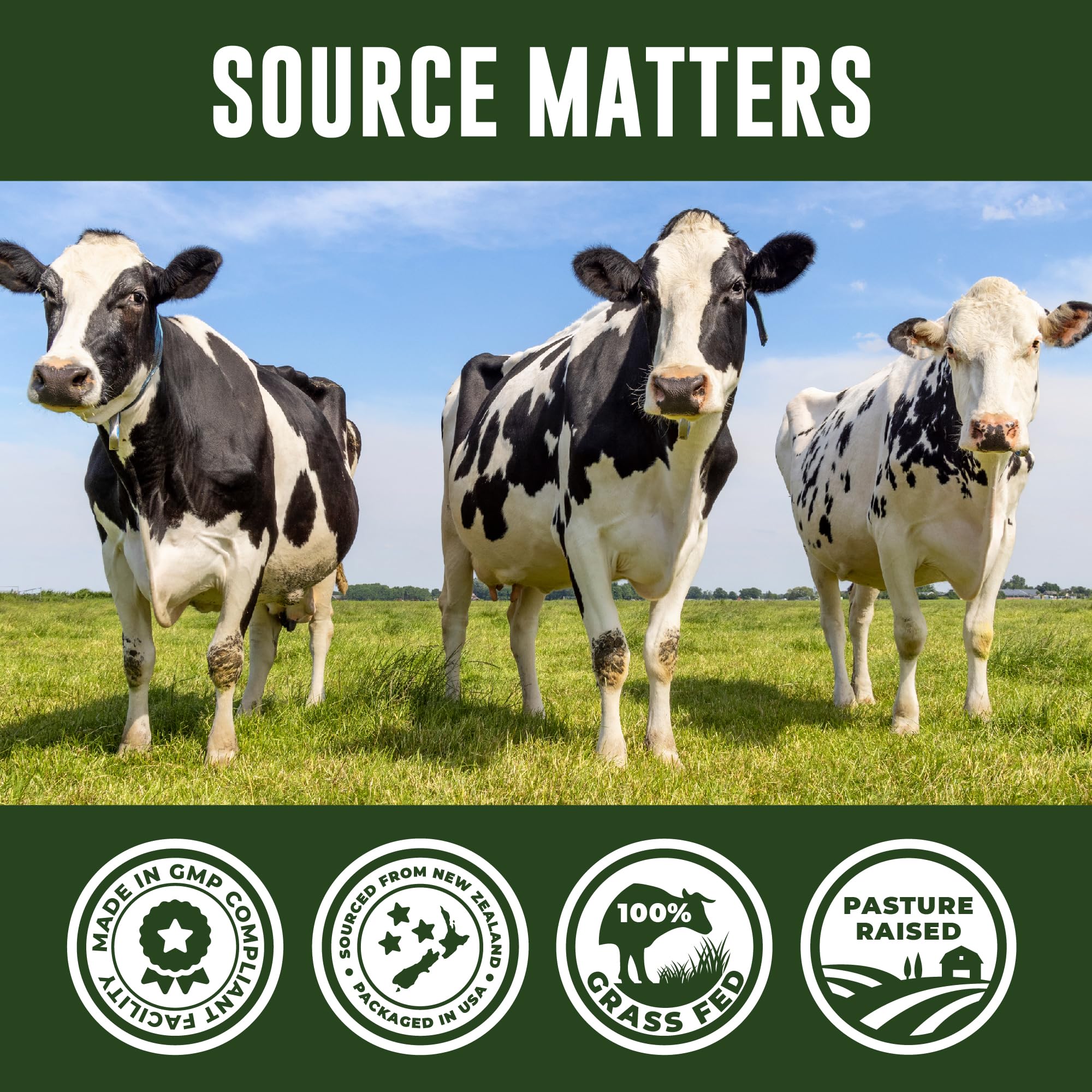 Non-GMO beef organ blend with no fillers