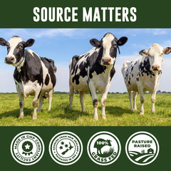 Non-GMO beef organ blend with no fillers