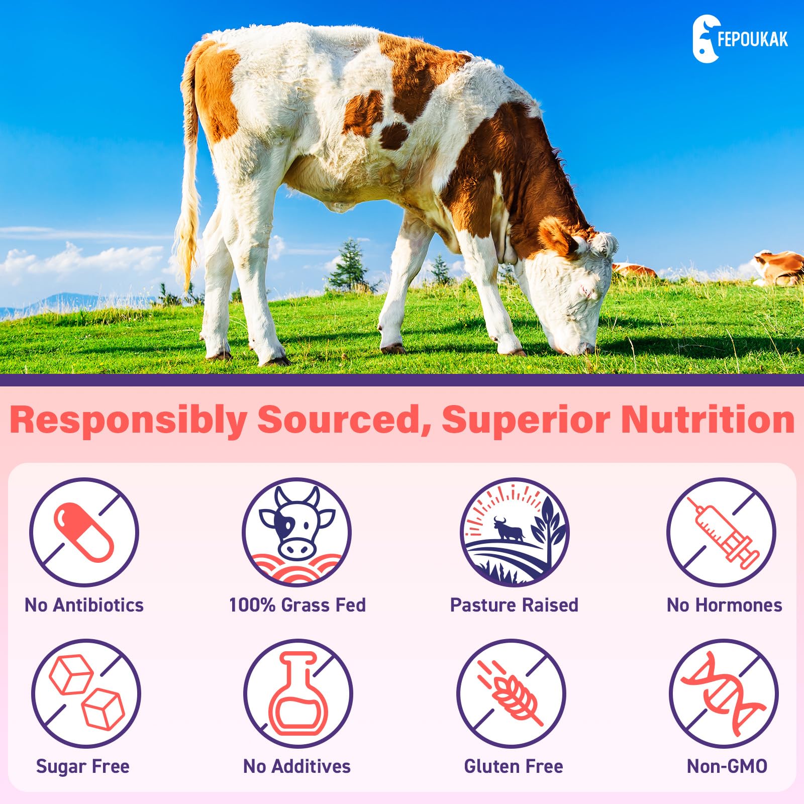 Estrogen plant extract blend and probiotic Bacillus Coagulans