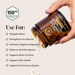 Graphic illustrating 3-in-1 prebiotic, probiotic, postbiotic