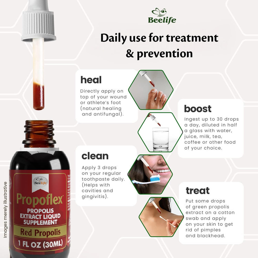 Graphic of immune support benefits from red propolis