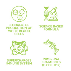 ReaLBuild immune support capsules