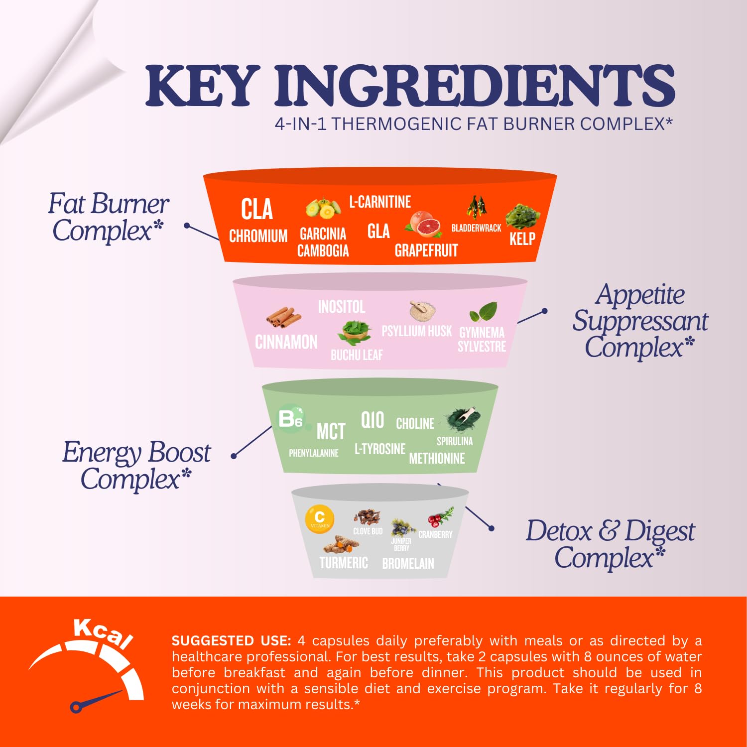 Close-up of Bellaburn ingredients including CLA and Garcinia Cambogia