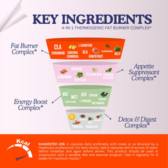 Close-up of Bellaburn ingredients including CLA and Garcinia Cambogia