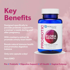 Flat lay of prenatal probiotic bottle with cranberry leaves