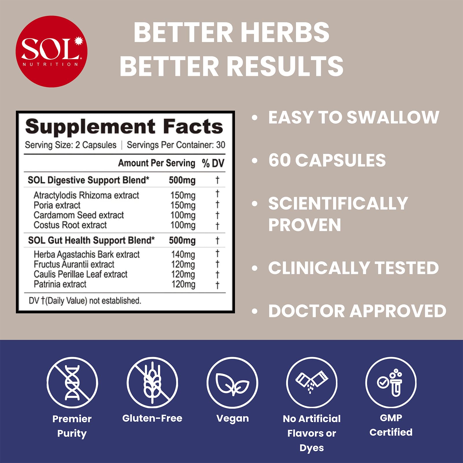 Graphic illustrating digestive enzymes and probiotics
