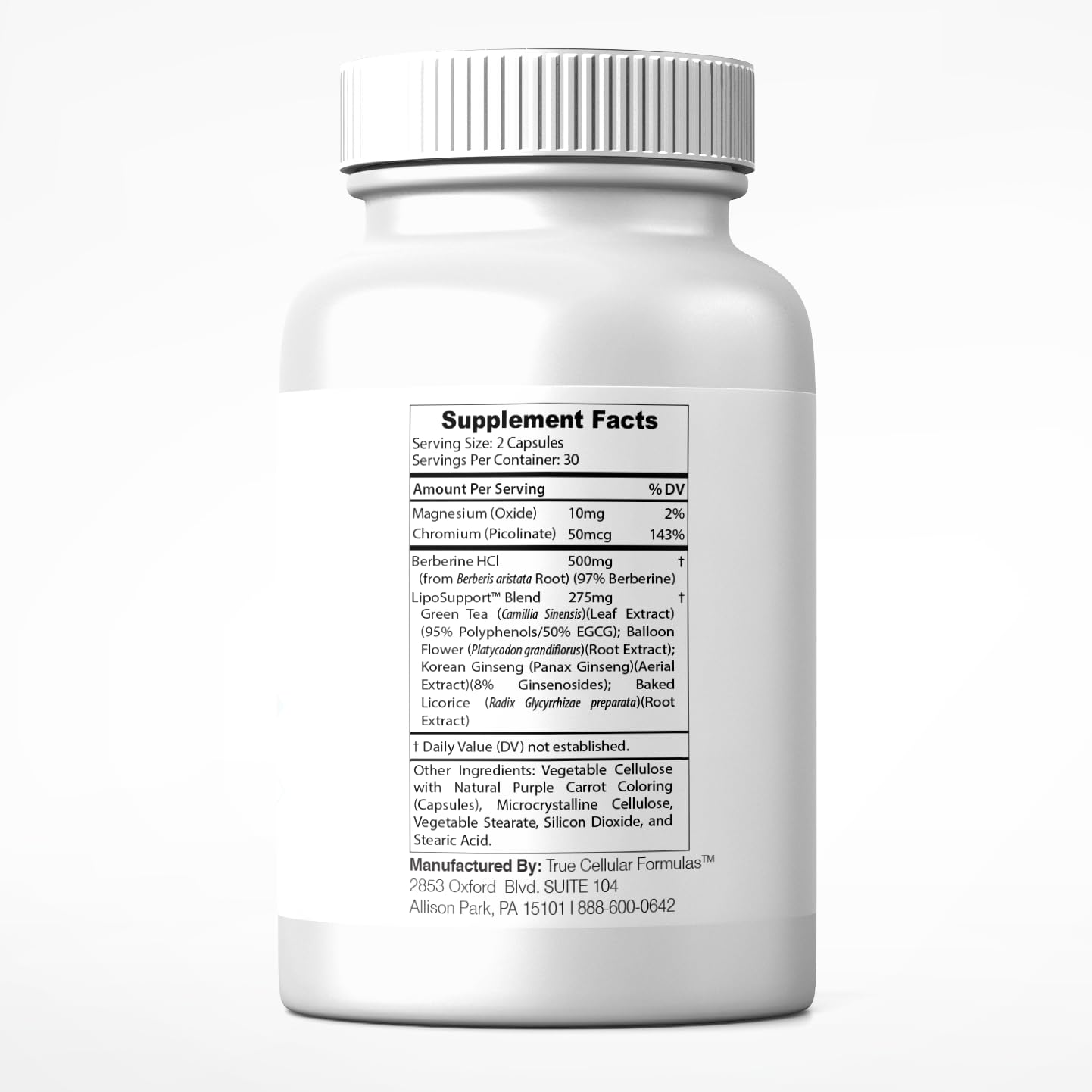 Active person with energized lifestyle representing energy support from BerberBurn+