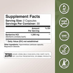 Illustration of Berberis aristata plant