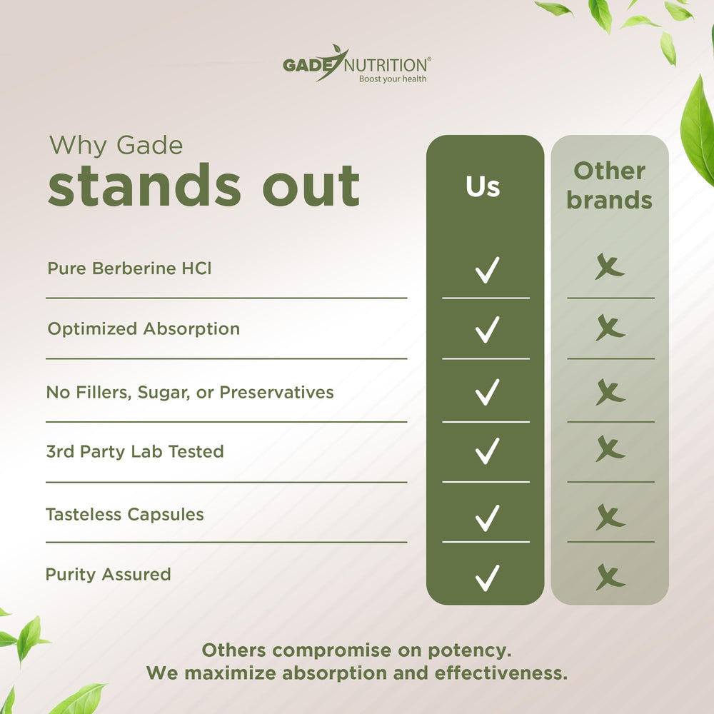 High-potency Berberine HCl 1200 mg capsule close-up