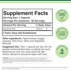 Graphic showing Berberine as an AMPK activator