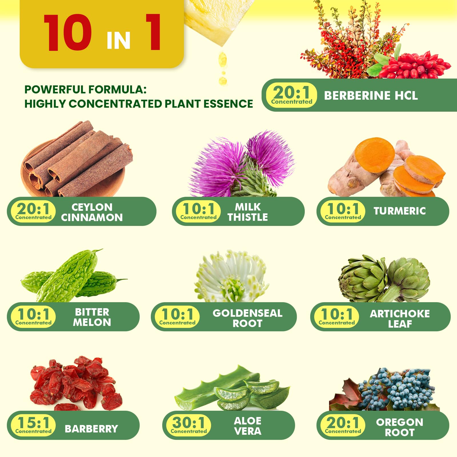 Close-up of Berberine and cinnamon ingredients