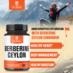 Graphic highlighting Berberine HCl and Organic Ceylon Cinnamon Bark ingredients