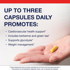 Berberine GT for cholesterol and triglyceride support