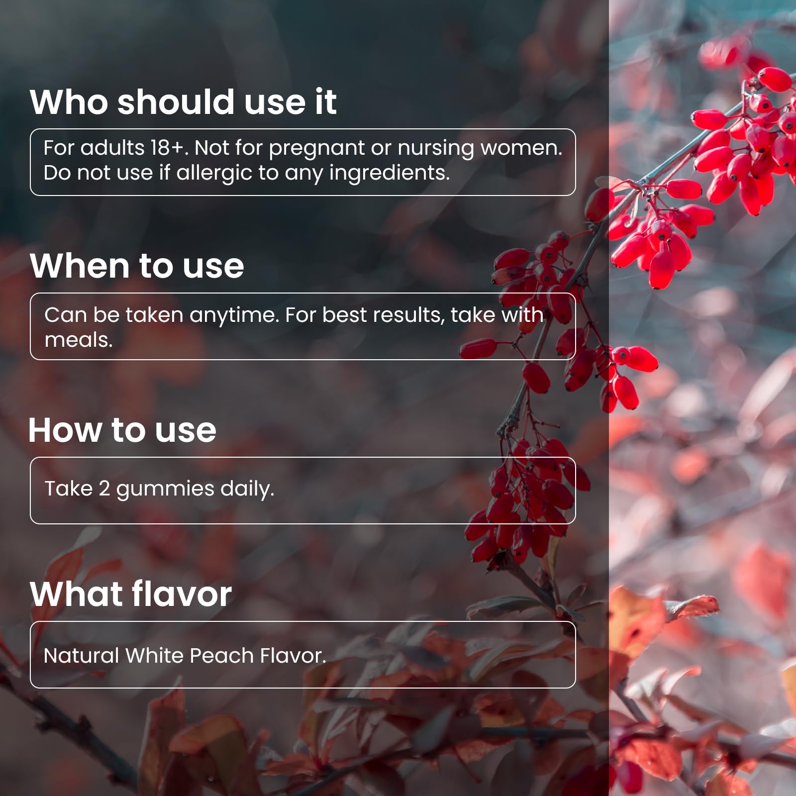 Sugar-free and vegan product badges