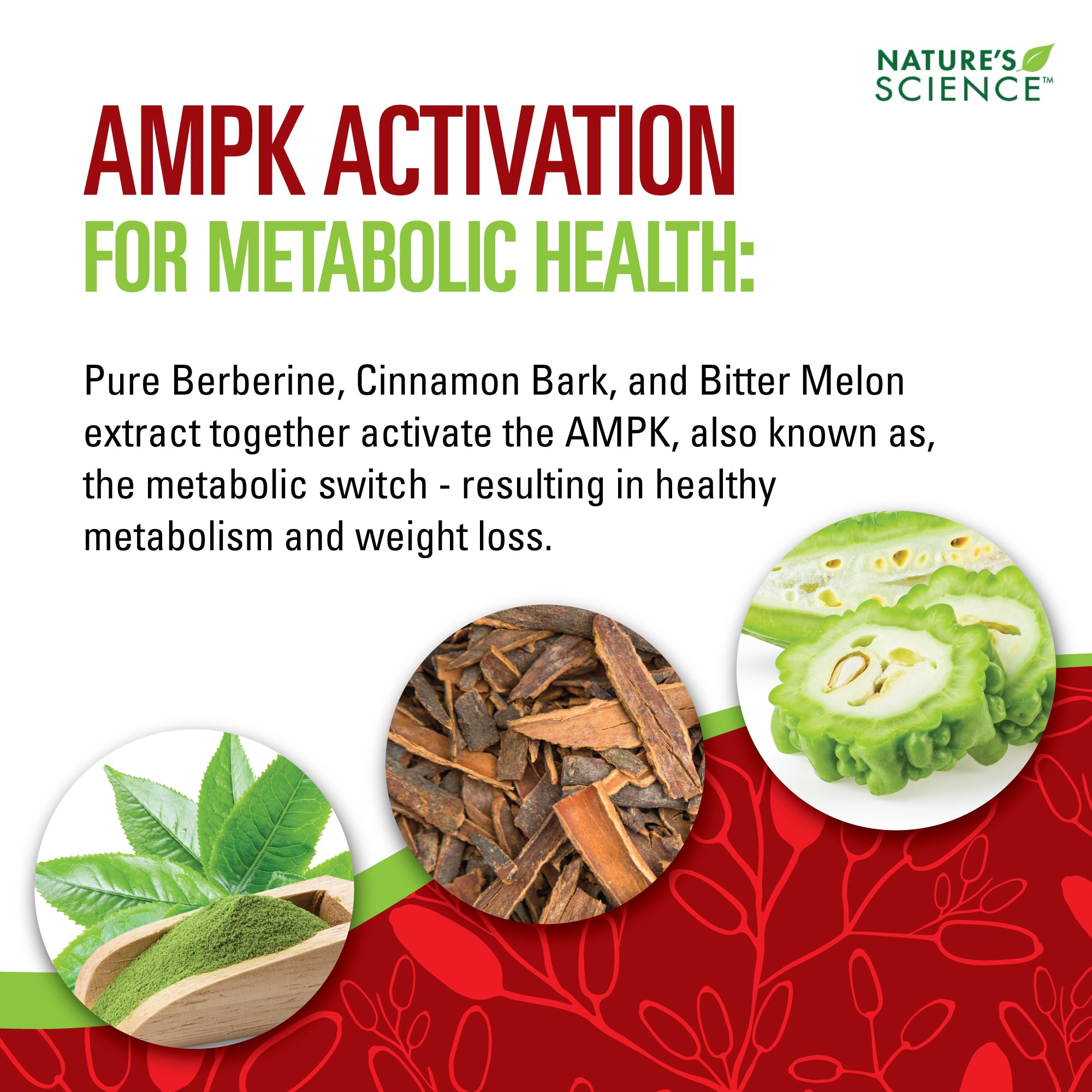 Berberine HCL phytosome green tea capsules