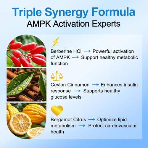 Liposomal delivery technology visualization for Berberine