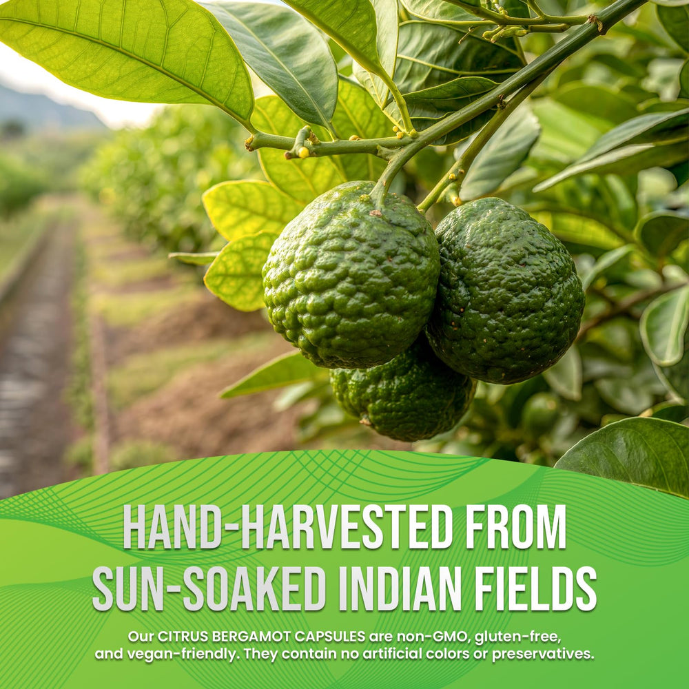 Packaging for Citrus Bergamot Capsules supplement