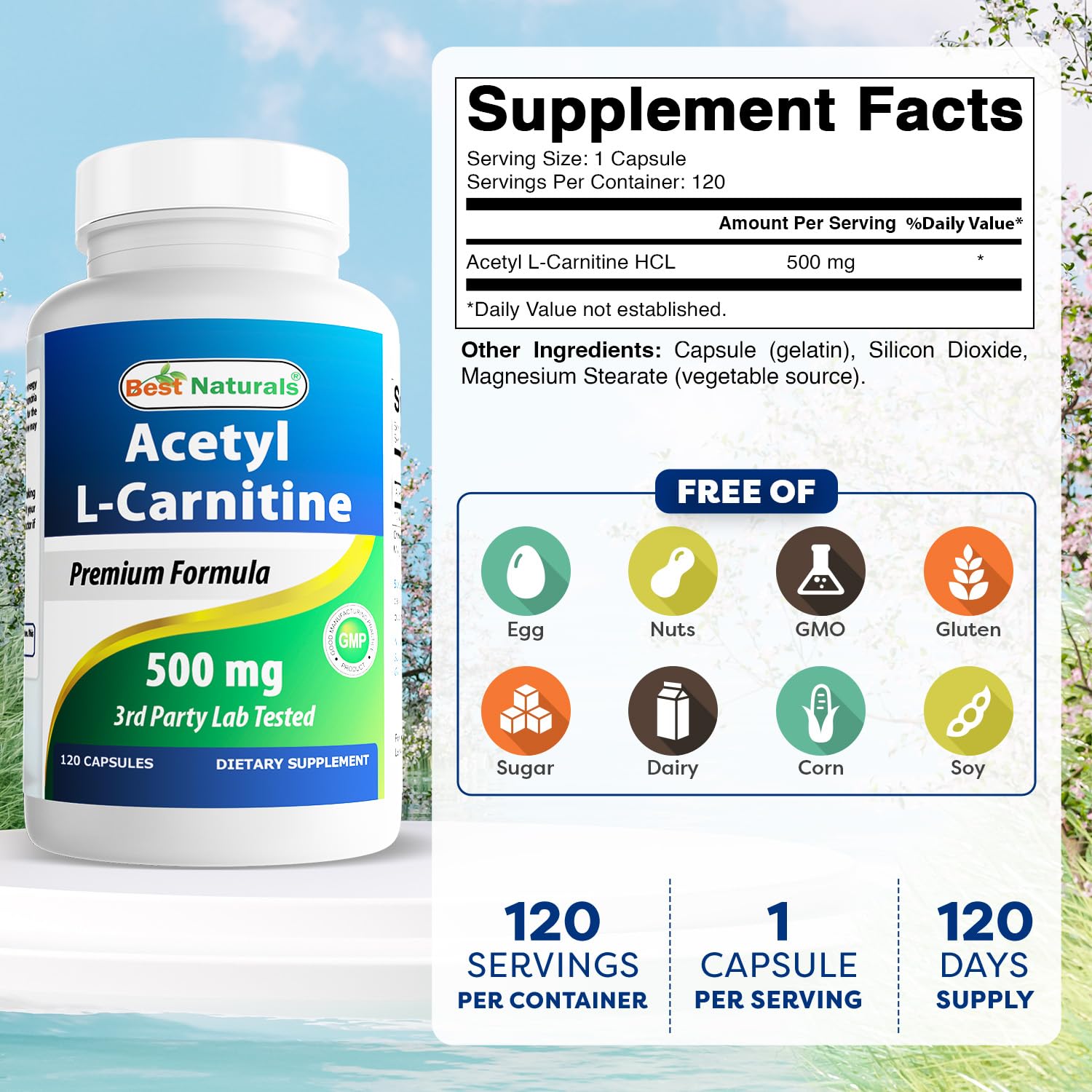 One capsule of Acetyl L-Carnitine 500mg close-up