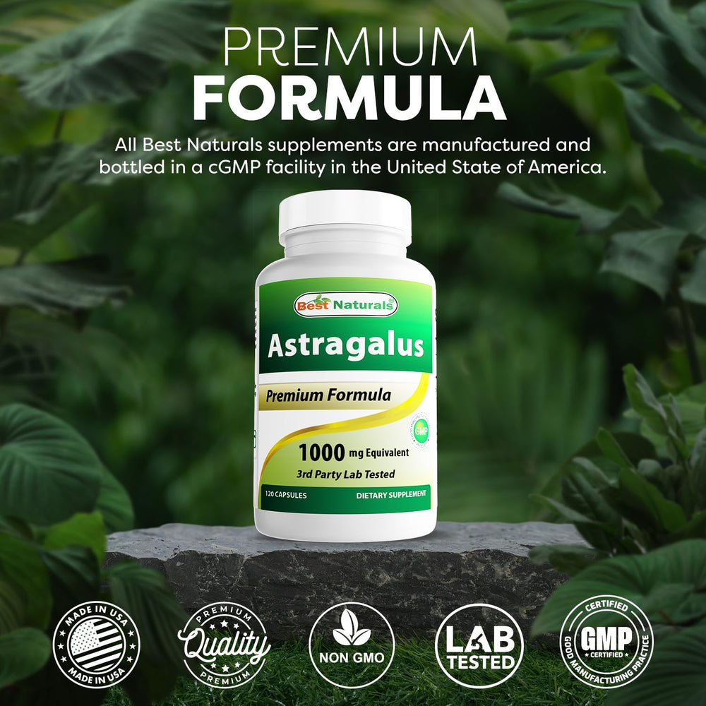 Astragalus capsule close-up view 2