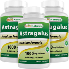 Best Naturals Astragalus Capsule 1000 mg bottle - front view