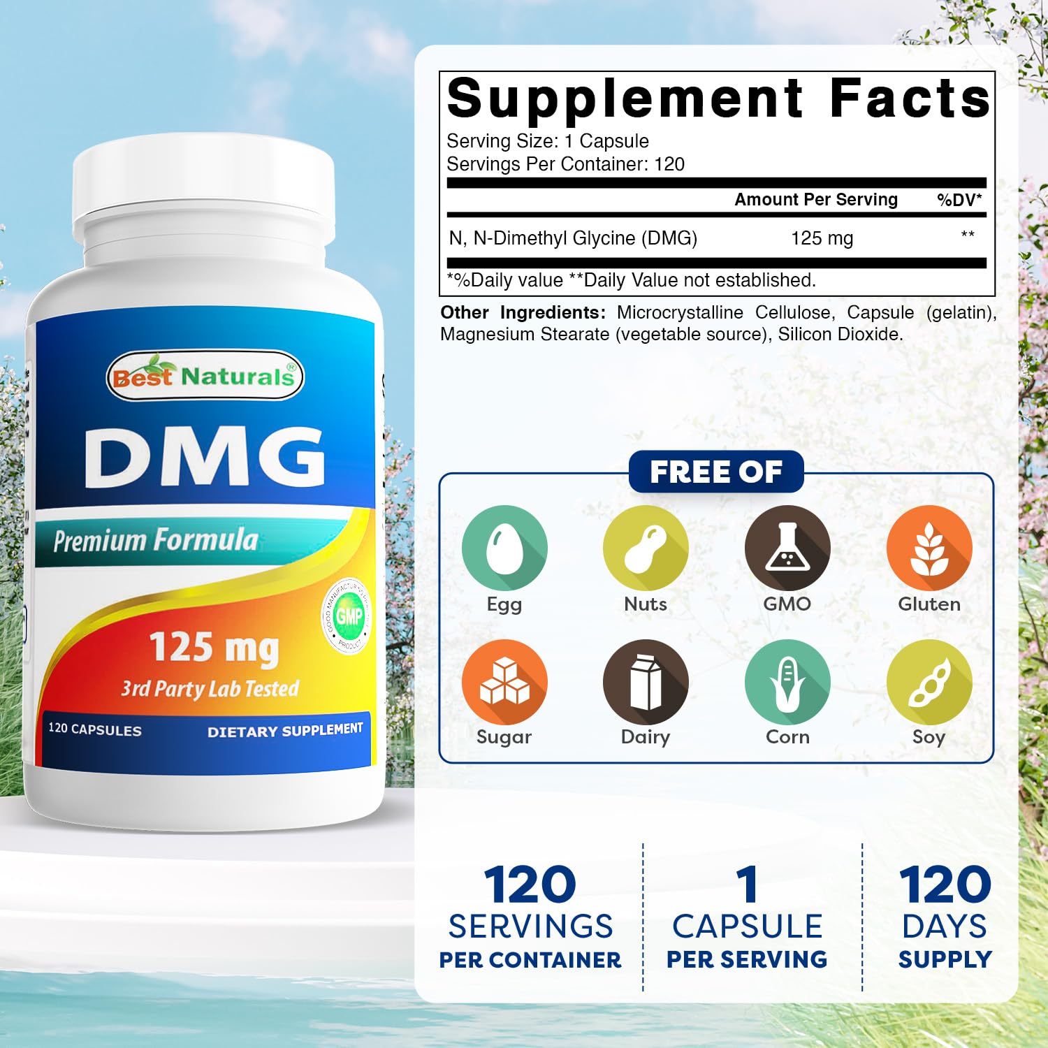 Front label of Best Naturals DMG 125 mg bottle