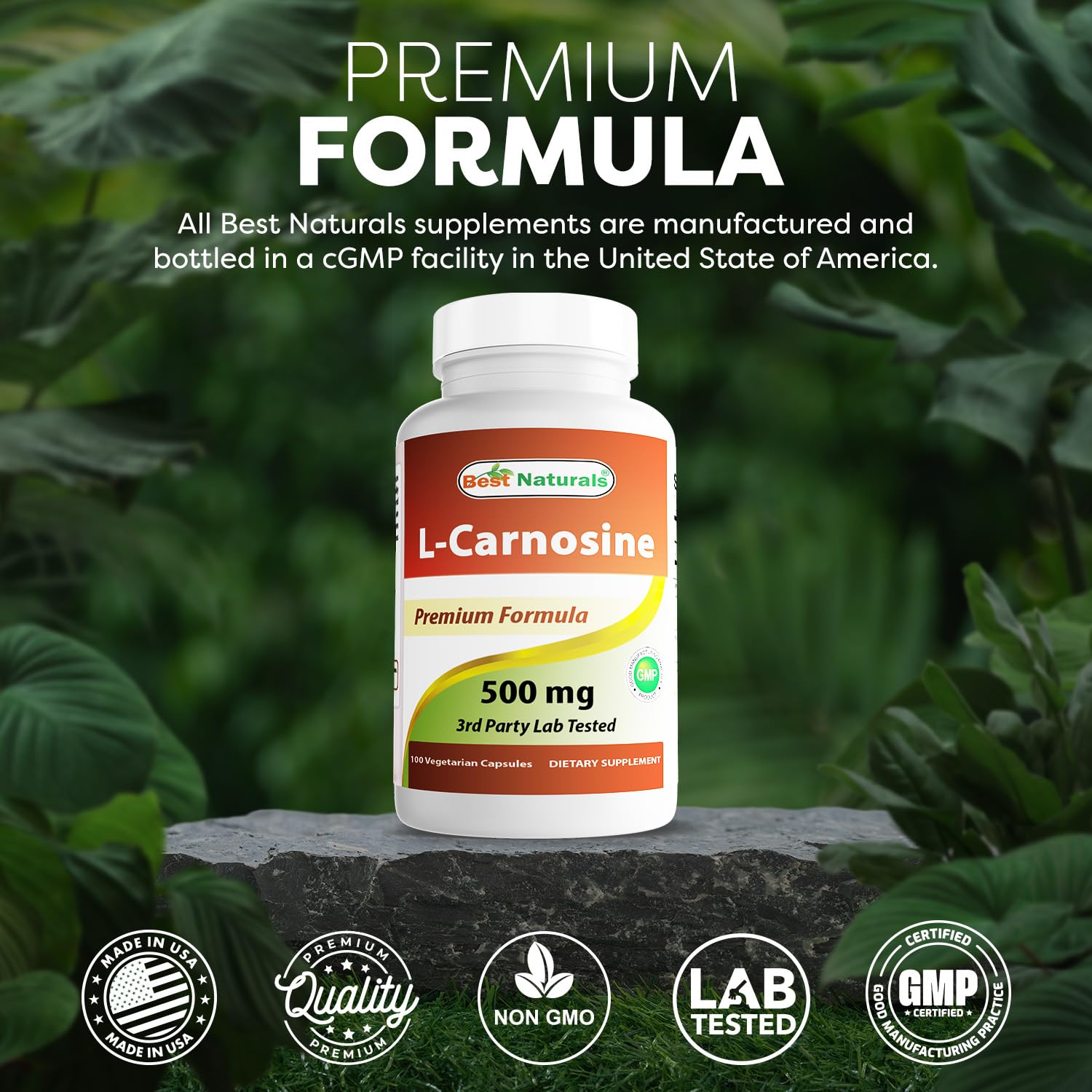 Manufactured in USA GMP facility for Best Naturals L-Carnosine