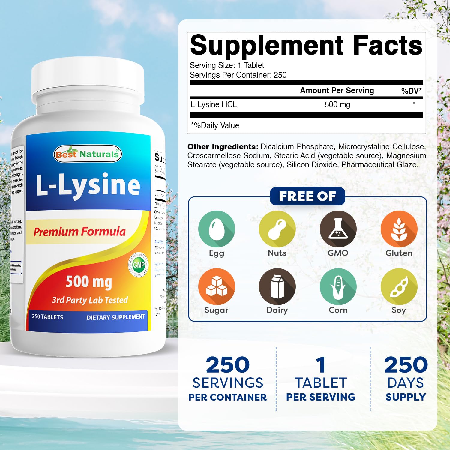 L-Lysine 500 mg bottle with 250 tablets per bottle detail
