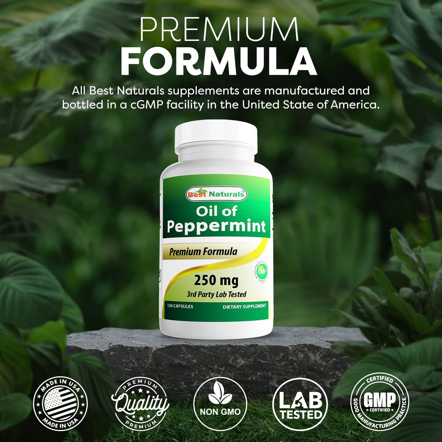 Packaged 2-bottle box for Best Naturals Peppermint Oil