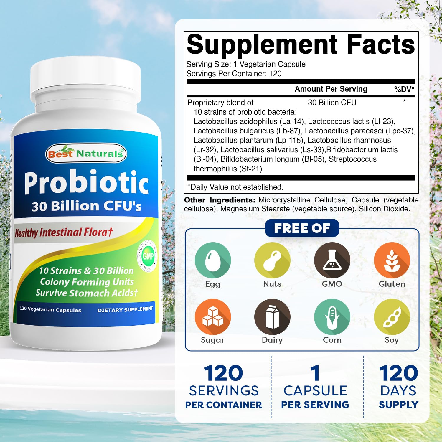 Close-up of 120 vegetarian probiotic capsules