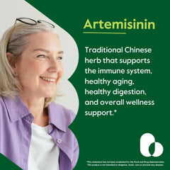 Close-up of Artemisinin 500mg capsules