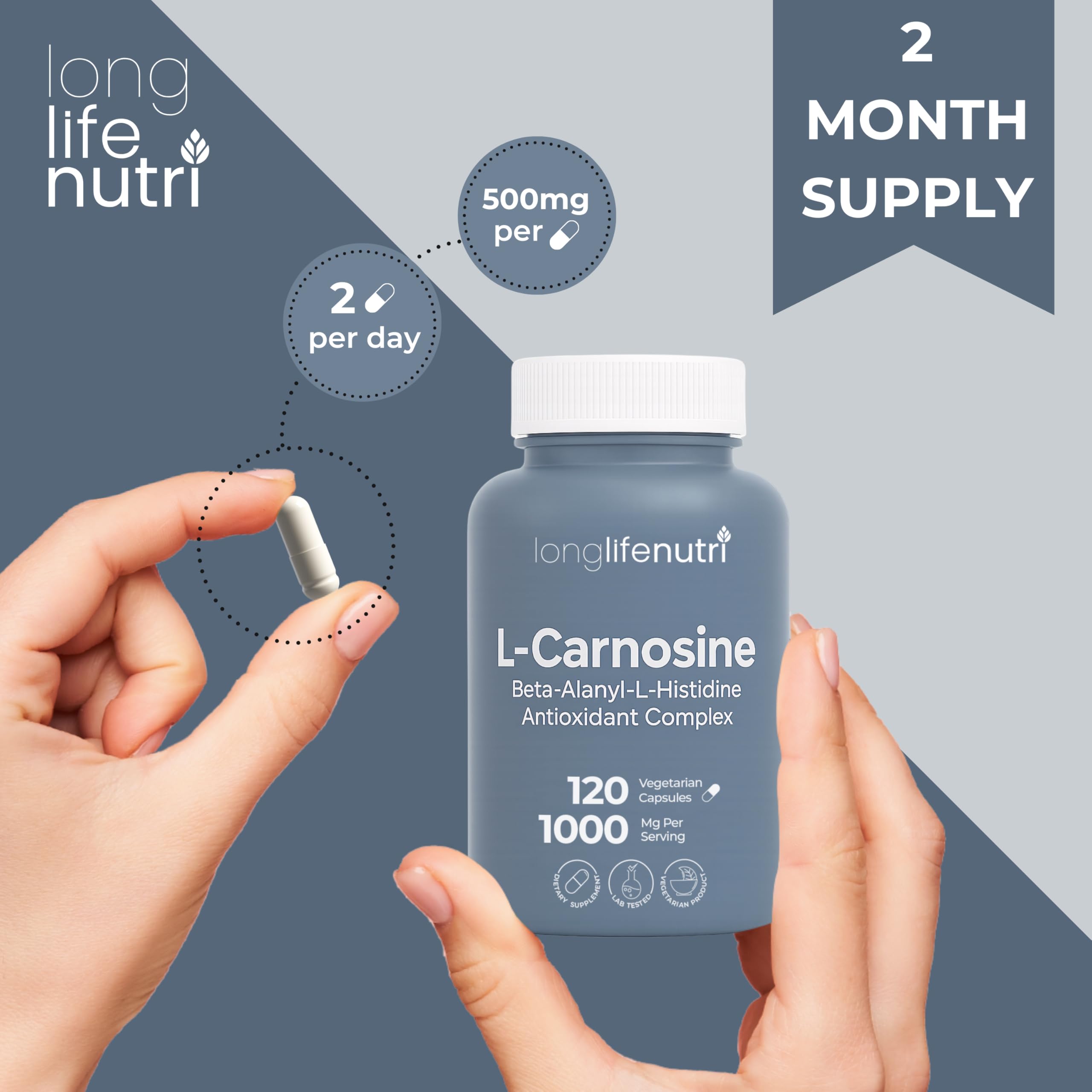 Illustration of beta-alanyl-L-histidine dipeptide