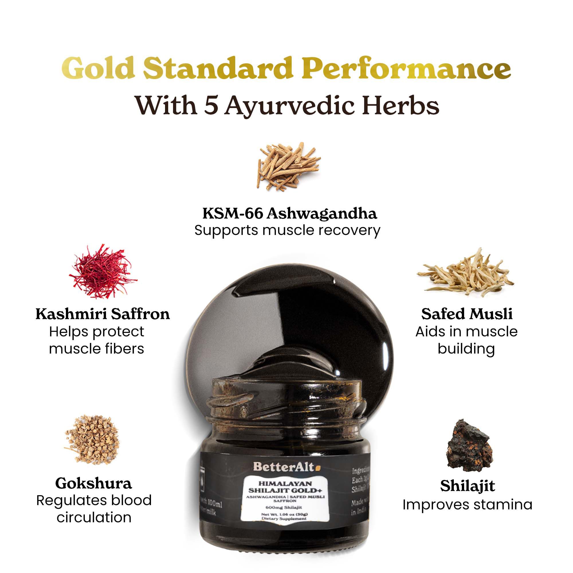 Close-up of Shilajit resin texture – 600mg per serving