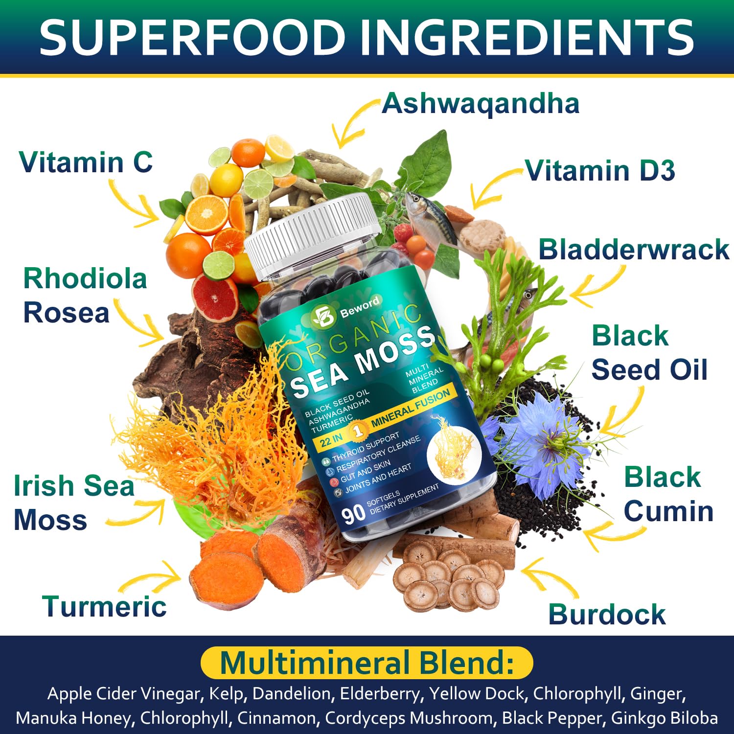 Ingredients overview for BEWORD Sea Moss Softgels