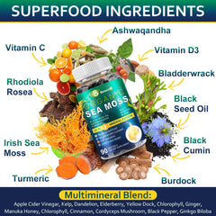 Ingredients overview for BEWORD Sea Moss Softgels