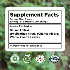 Bulk Bhumi Amalaki powder 454 g pack