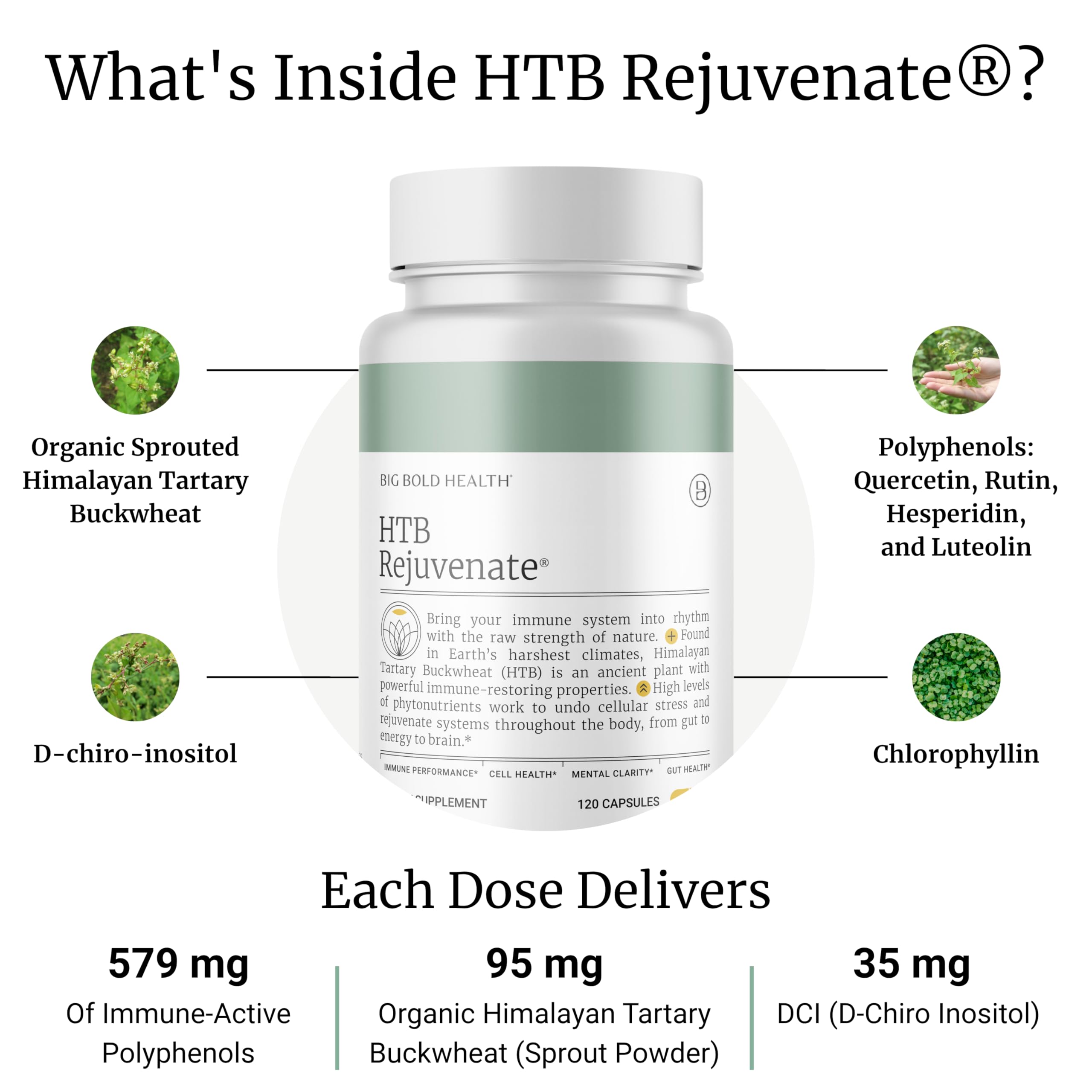 Graphic highlighting 579mg immune-active polyphenols per serving